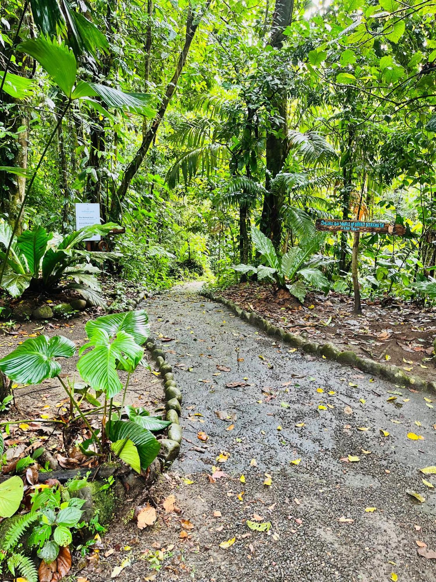 Villa Domo de Paz en Wellness Park CR La Fortuna Exterior foto