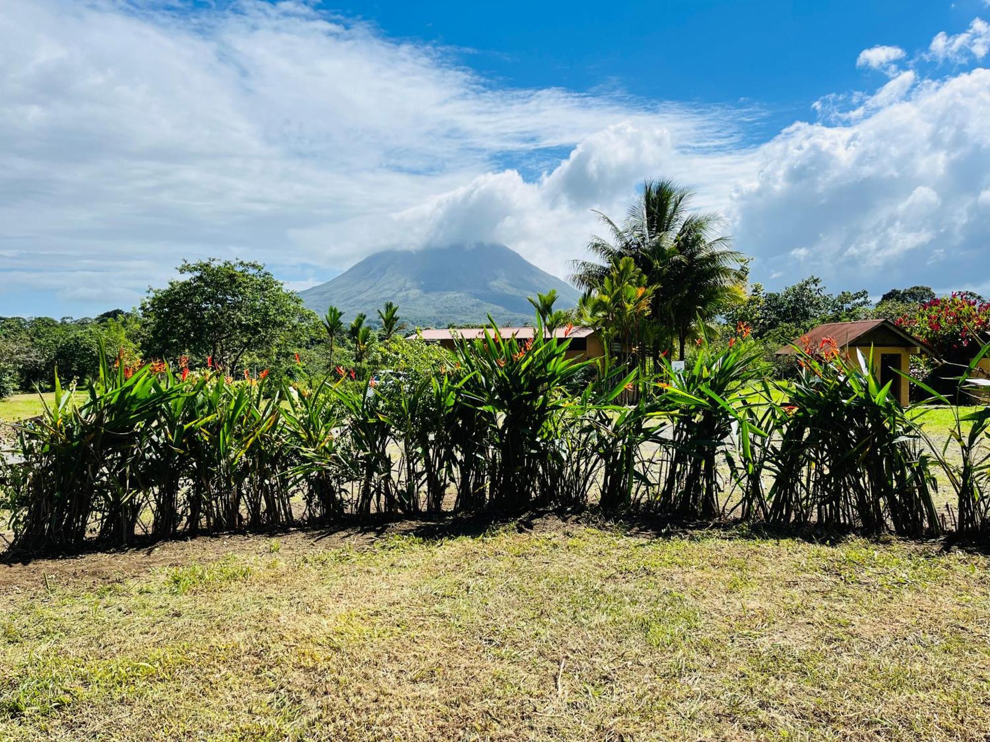 Villa Domo de Paz en Wellness Park CR La Fortuna Exterior foto