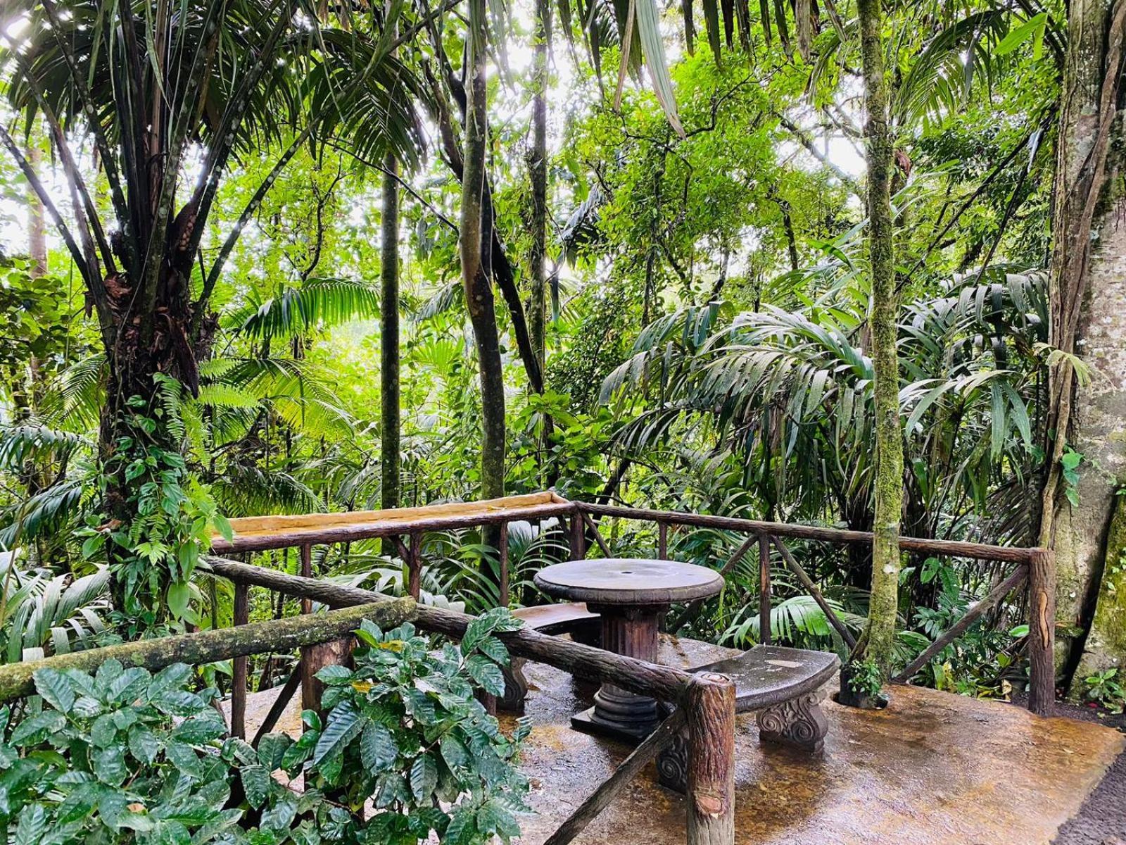 Villa Domo de Paz en Wellness Park CR La Fortuna Exterior foto